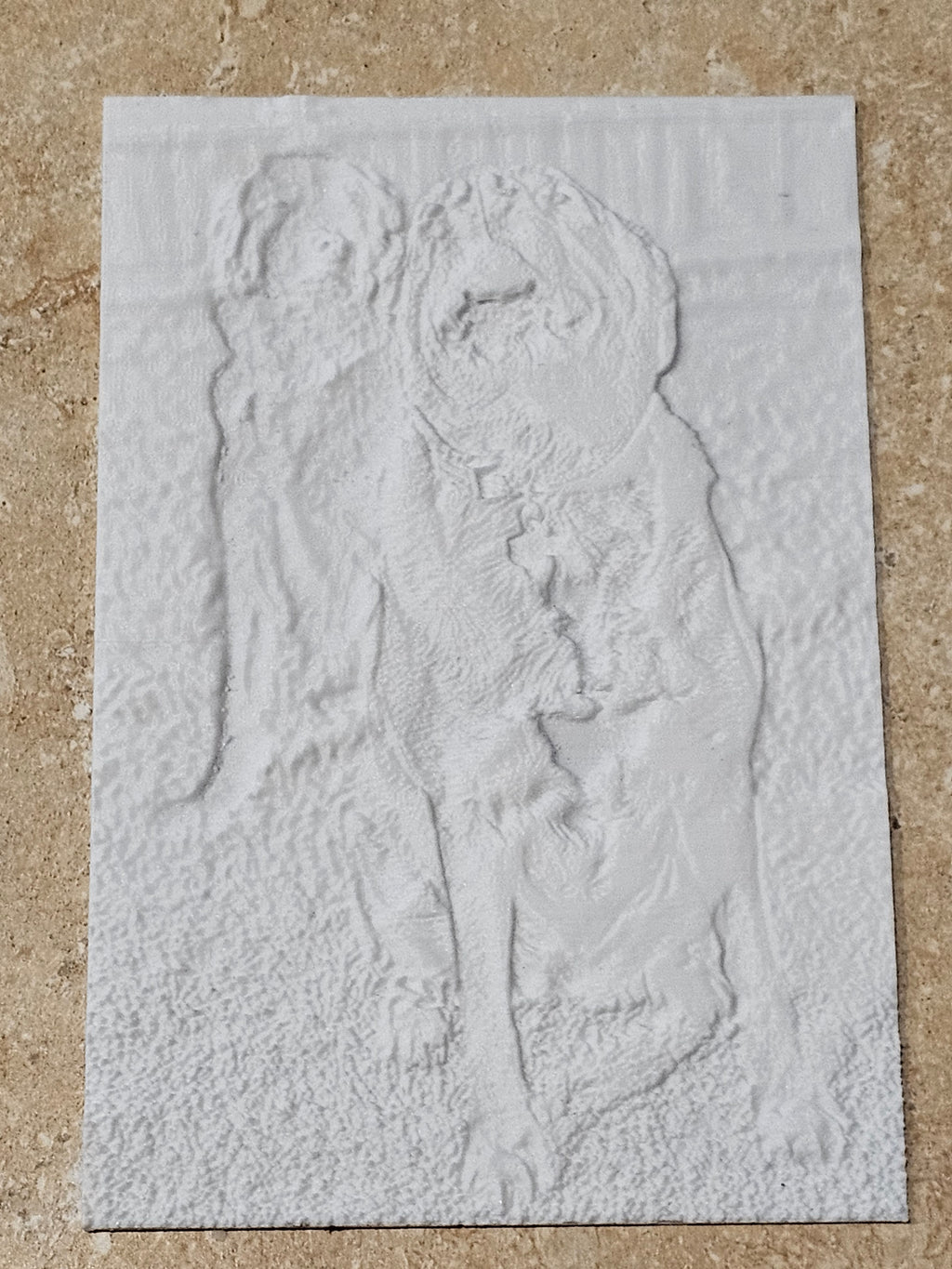 Custom Lithophane Picture + Frame